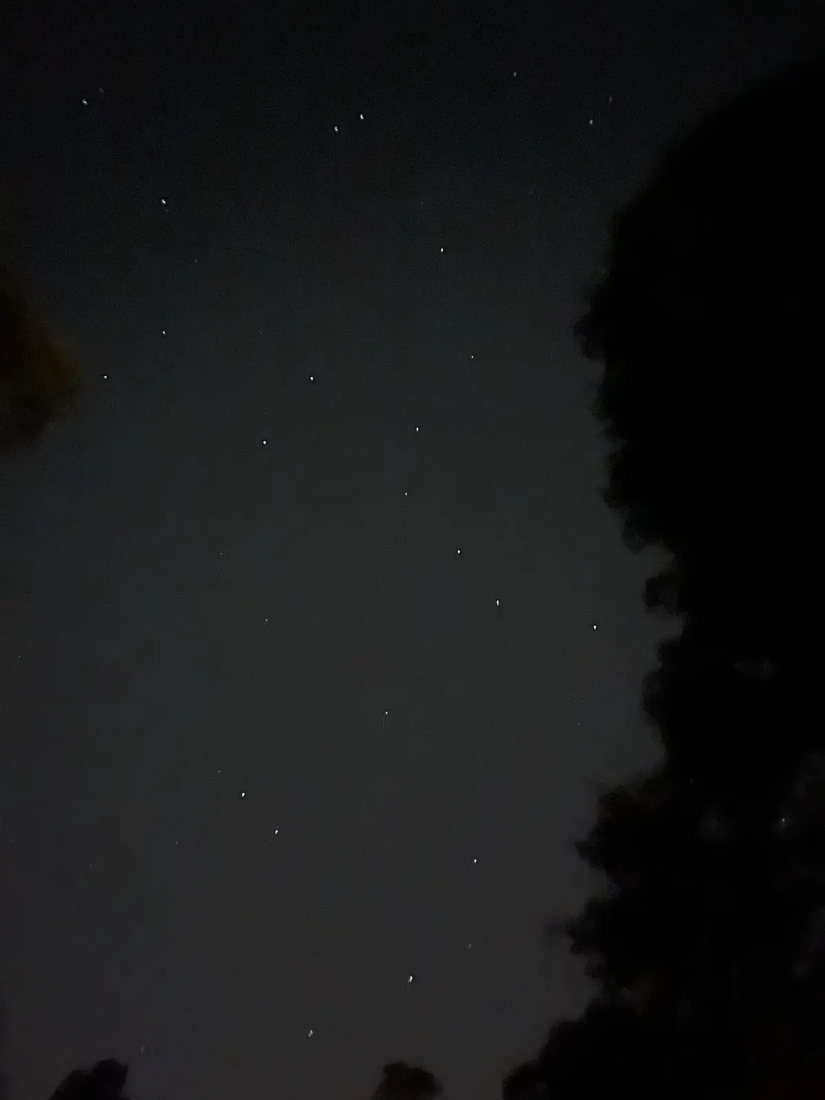 A night sky photograph showing numerous faint stars scattered across a dark, hazy sky, framed by the silhouettes of tree…