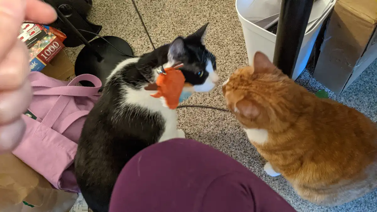 Nose to nose: A moment of connection!