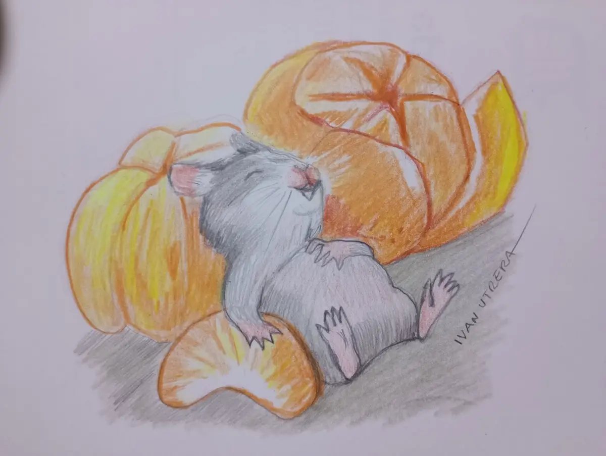 A colored pencil drawing shows a gray mouse with closed eyes and a content expression, nestled among several orange…
