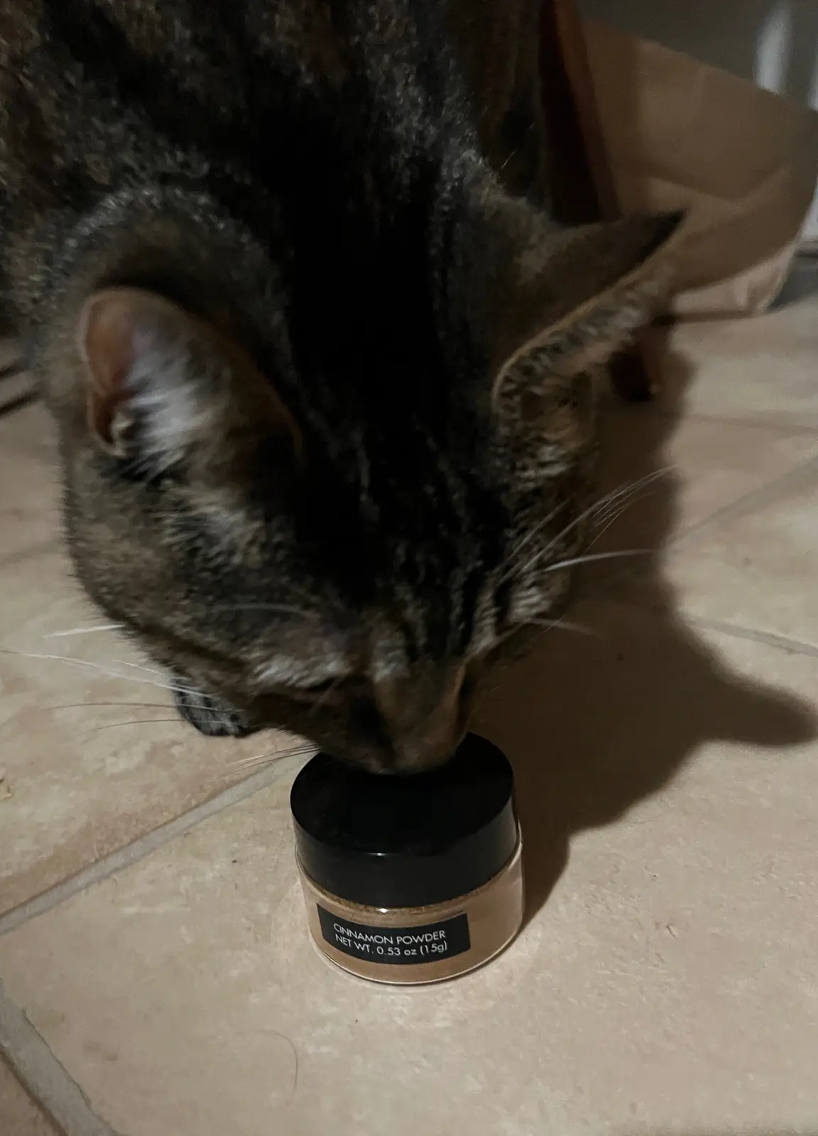A tabby cat is sniffing or licking a small jar labeled 'CINNAMON POWDER' on a tiled floor. The cat's head is lowered into…