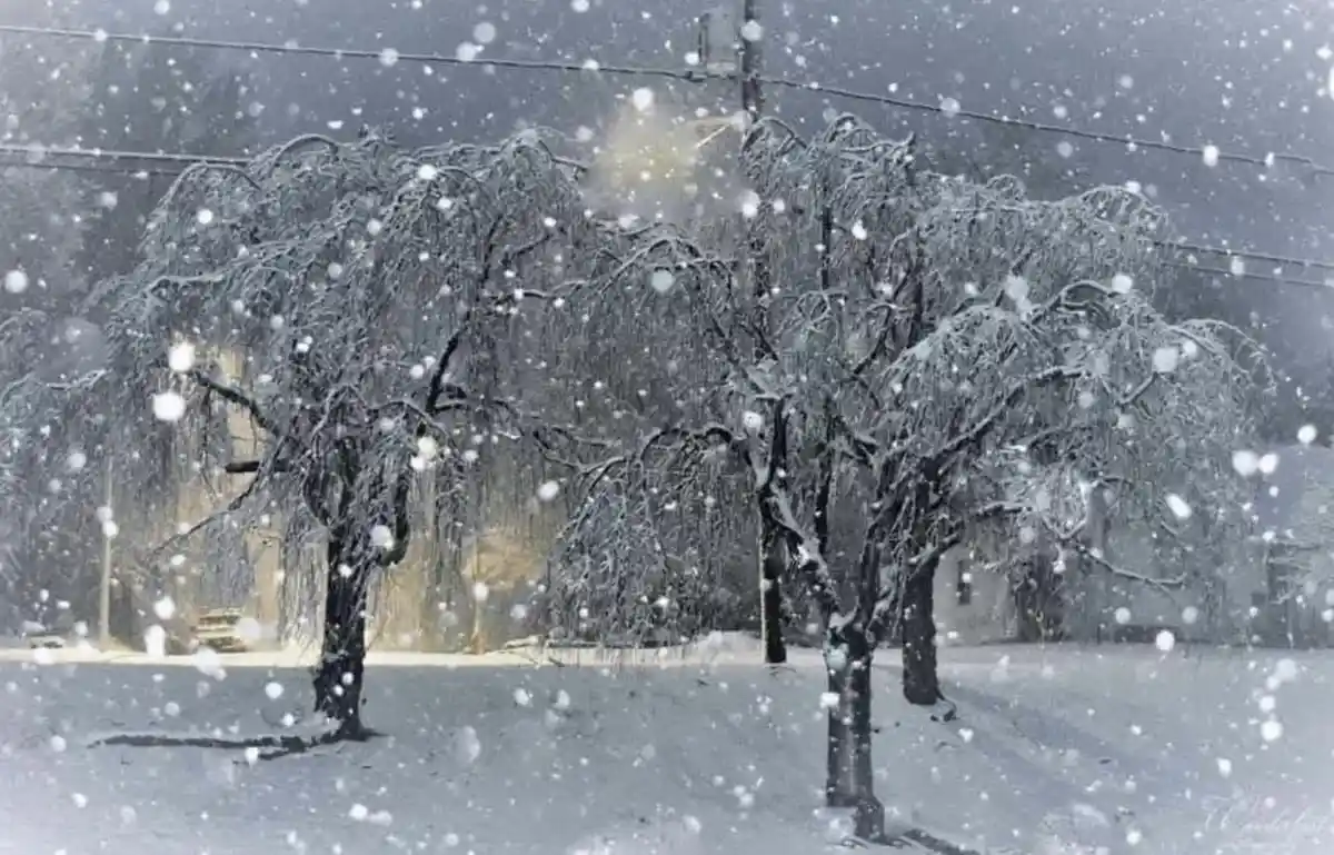 Let the Snowfall Begin!