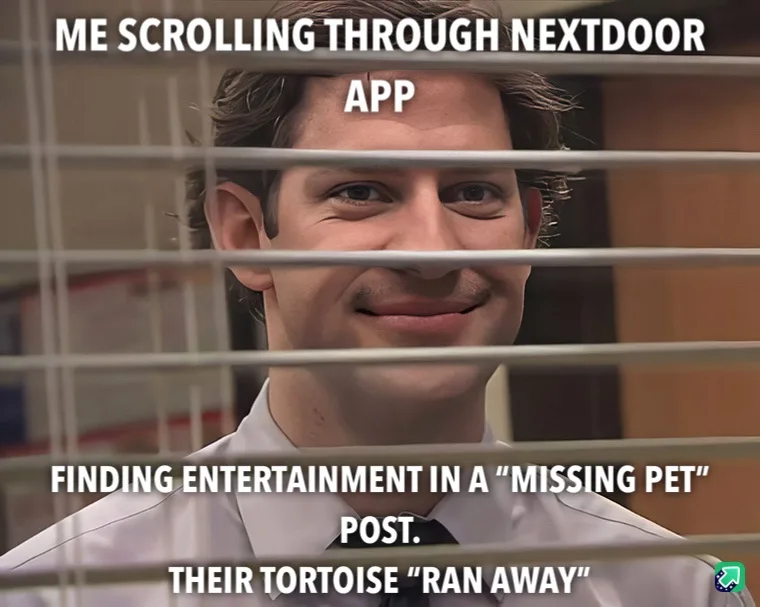 A True Tale: If I find Mr. Tortoise, he won't be coming back!