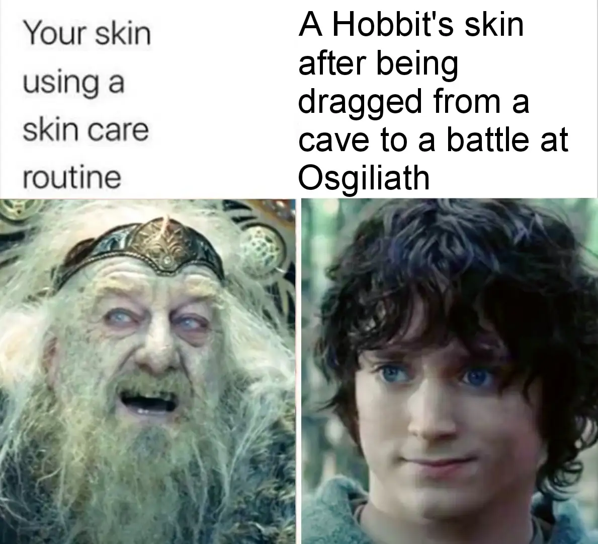 The image is a split-screen meme featuring two characters from 'The Lord of the Rings'. On the left, an elderly…