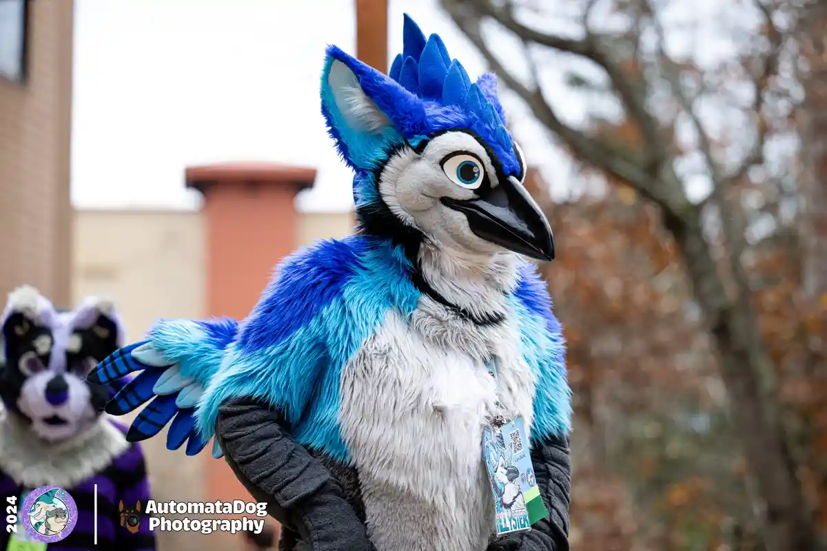 A person in a detailed blue jay fursuit with a large, spiky blue crest and black beak stands outdoors, wearing a convention…