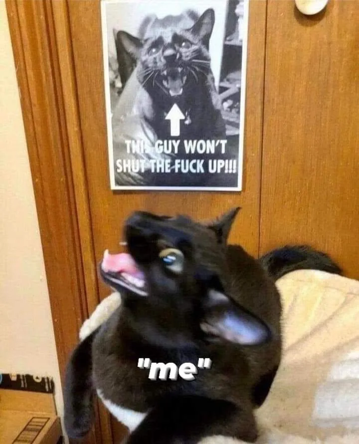 A black cat with its mouth open in a yowl sits on a blanket, labeled "me". Behind it, a poster shows a screaming cat with an…