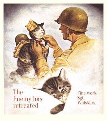 A vintage-style illustration shows a soldier in a helmet and uniform presenting a medal to a cat wearing a miniature…