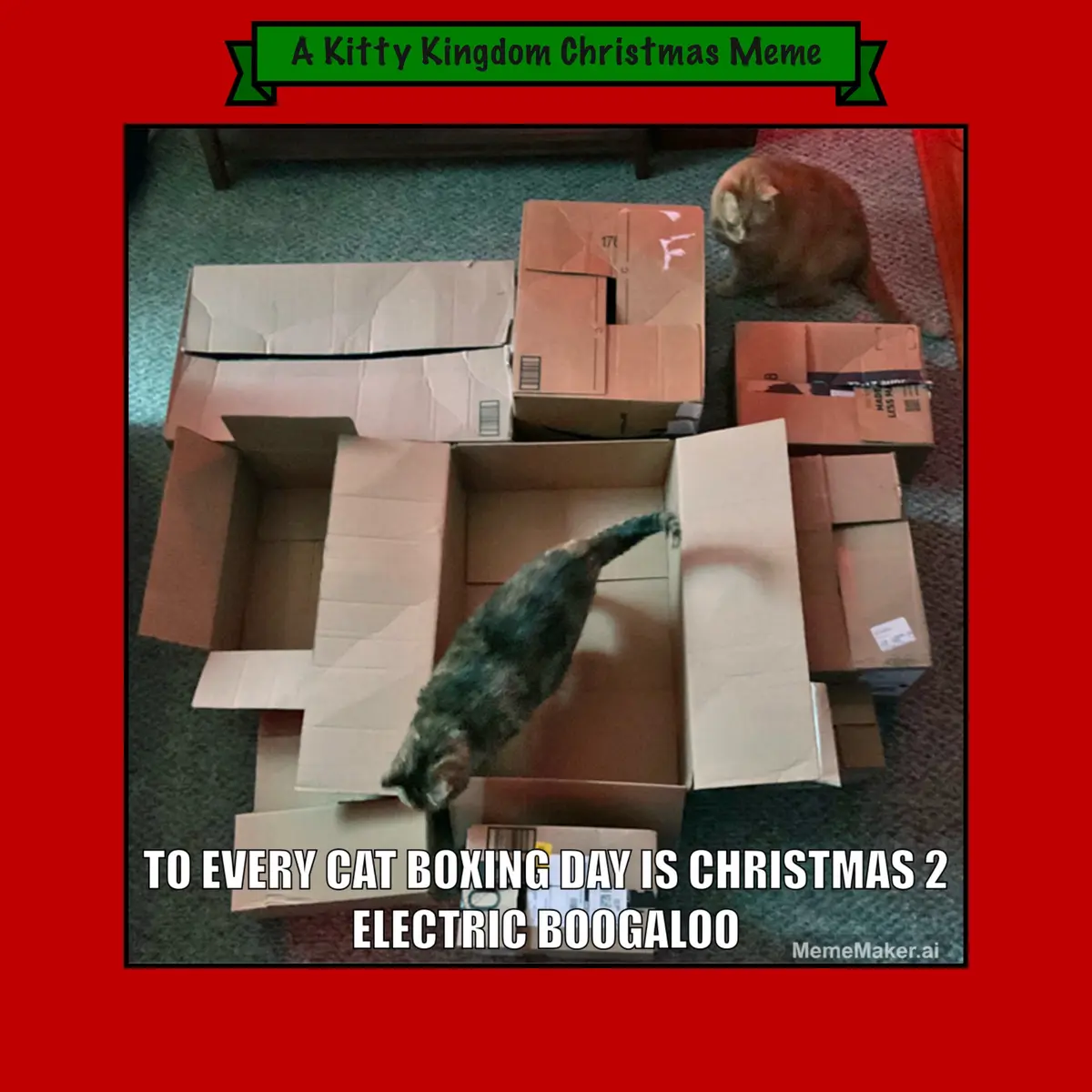 An overhead photo shows a dark tabby cat stretching inside an open cardboard box surrounded by other boxes on a carpeted…
