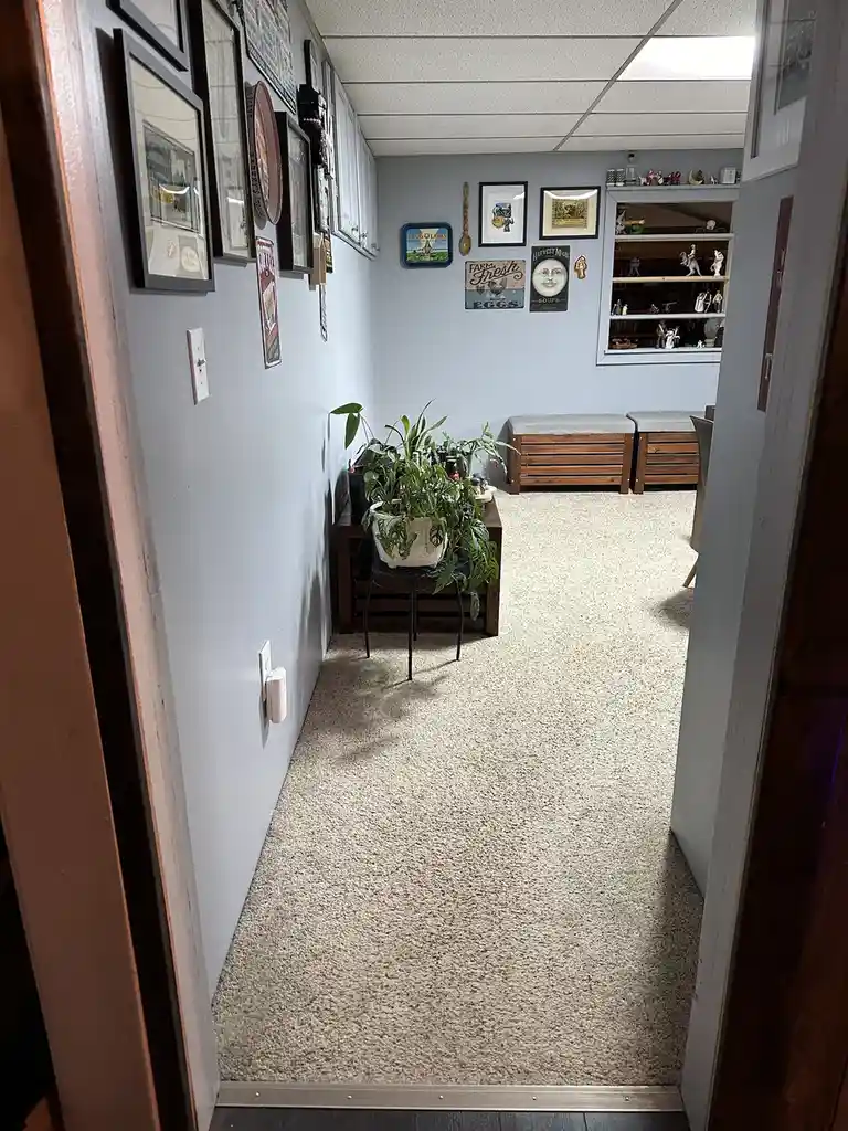 Dining Room Makeover: Volume 1