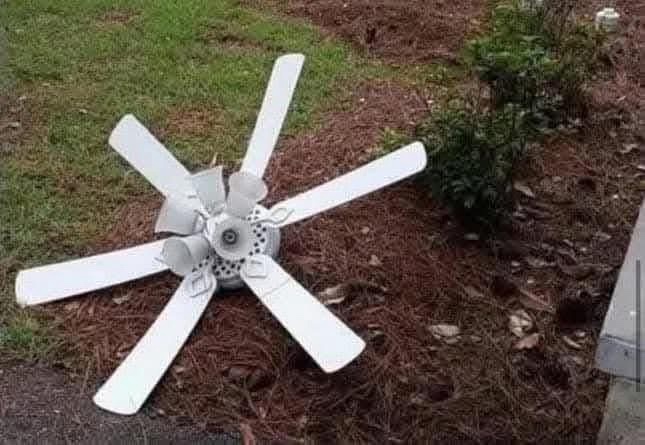 Mom, Can We Get a Drone? No, We Have Drones at Home!