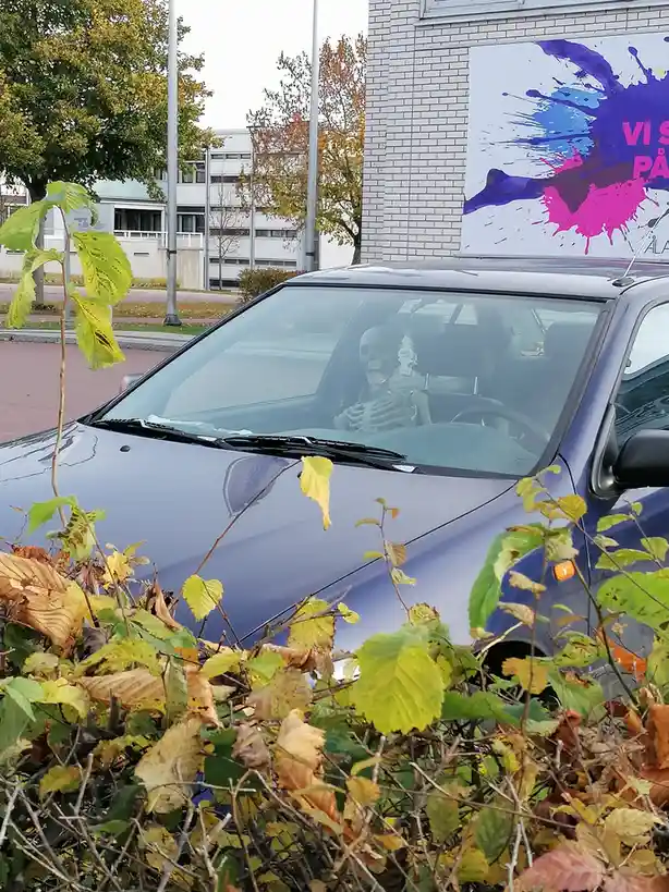 A blue car is parked outdoors with autumn foliage in the foreground, and a plastic skeleton is visible sitting in the…