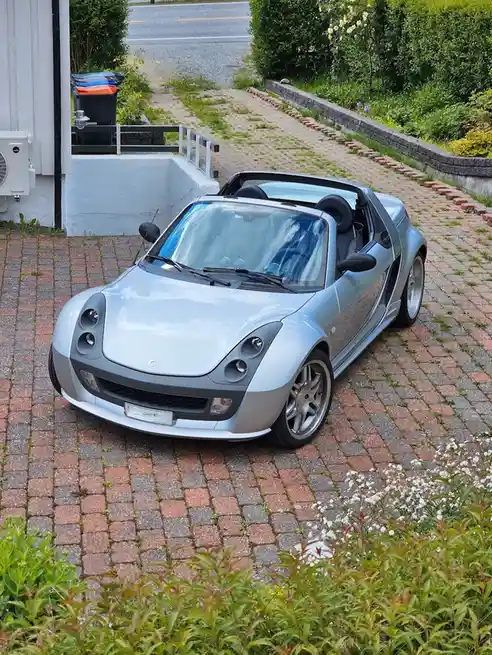 Just the Right Speed for a Thrilling Experience