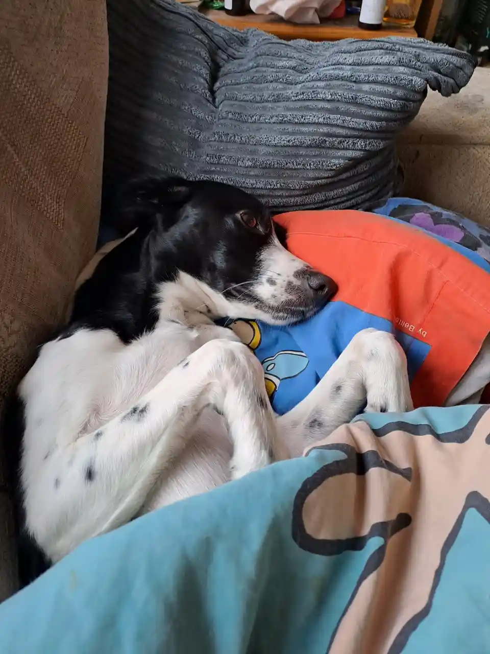 My Adorable Puppy: Exhausted After a Day of Fun