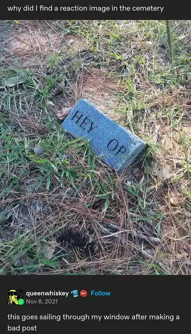 A small, gray, rectangular stone, resembling a gravestone, lies tilted in grass and pine needles. It has the words 'HEY OP'…
