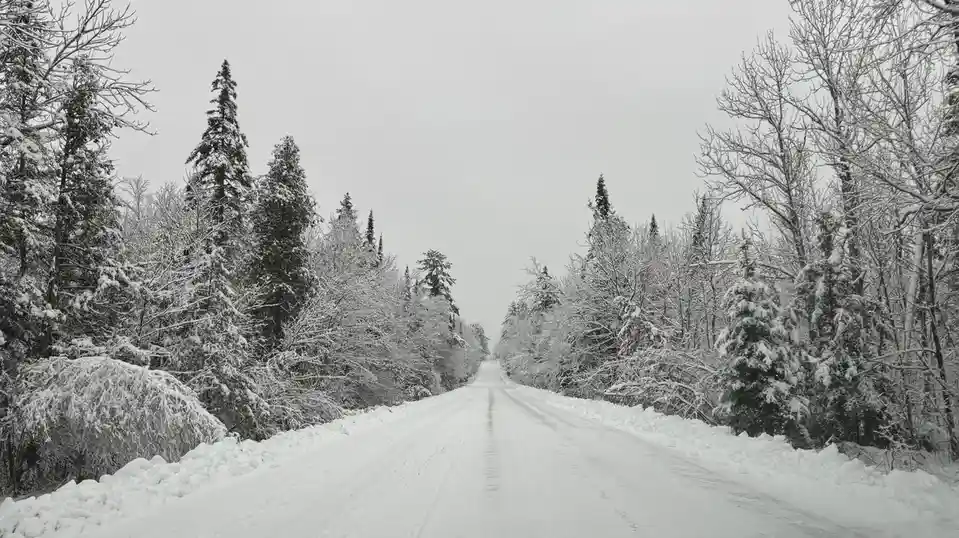 A snowy, desolate road stretches into the distance, flanked by snow-covered evergreen and bare deciduous trees under an…