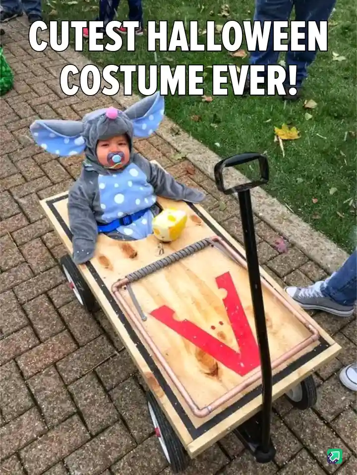 The Cutest Halloween Costume You’ll Ever See!