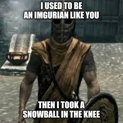 A character from the video game Skyrim, wearing a helmet and holding a shield, stands in a snowy outdoor setting. The image…
