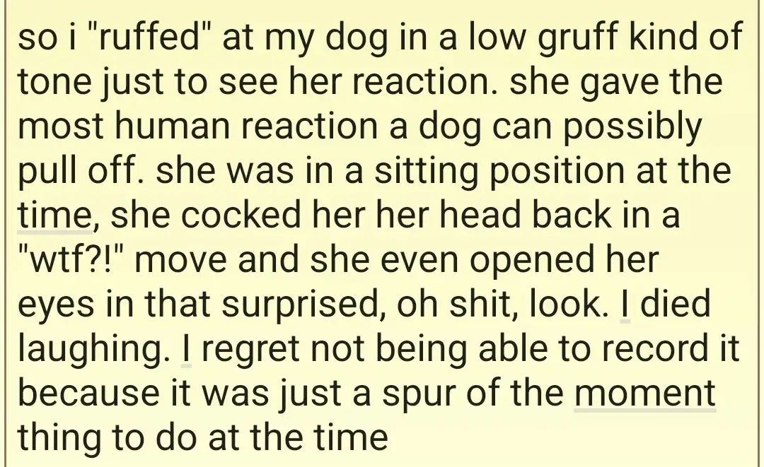 The image displays a block of black text on a pale yellow background, describing a person's humorous anecdote about…