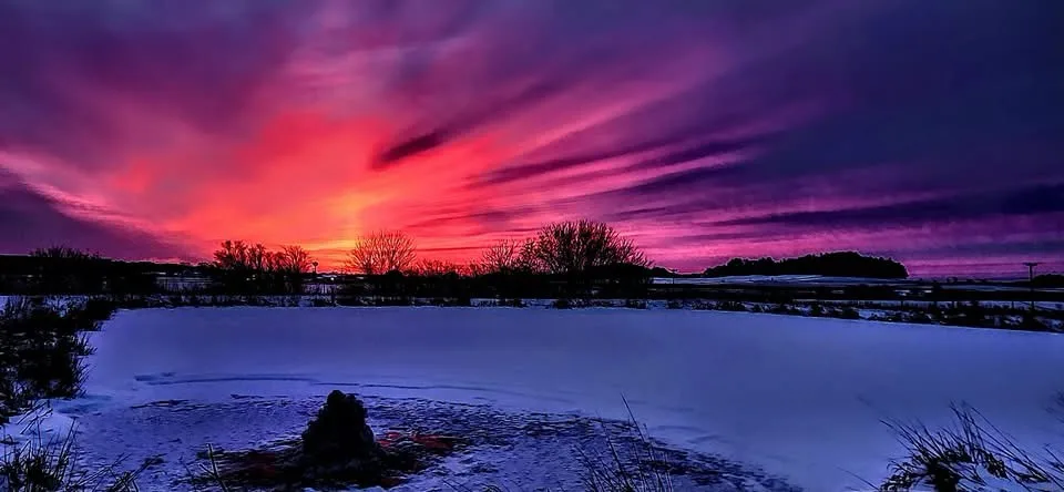 A dramatic winter sunset with vibrant pink and purple clouds over a snowy field, silhouetted trees in the distance, and a…