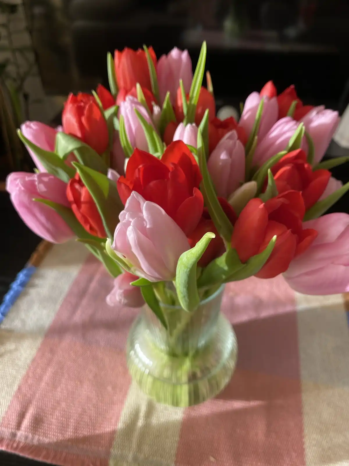 A close-up photo shows a vibrant bouquet of red and pink tulips arranged in a clear glass vase filled with water, resting on…