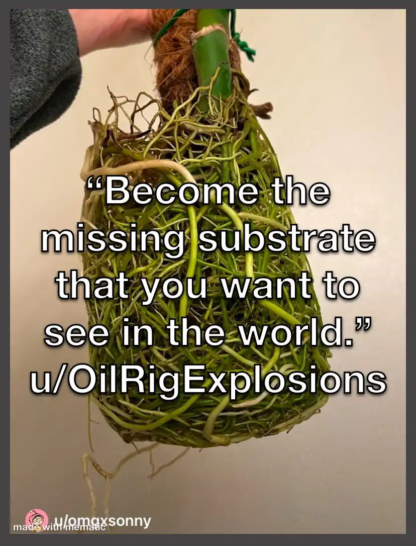 A hand holds a plant with a dense, tangled mass of green roots and stems, resembling a root ball or moss ball. Overlaid…