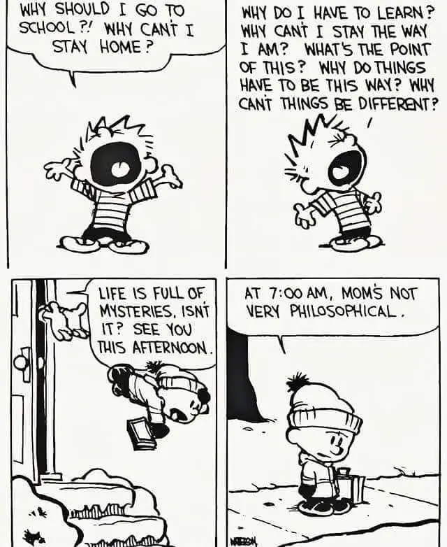 A four-panel Calvin and Hobbes comic strip shows a frustrated child questioning the purpose of school and life, then being…
