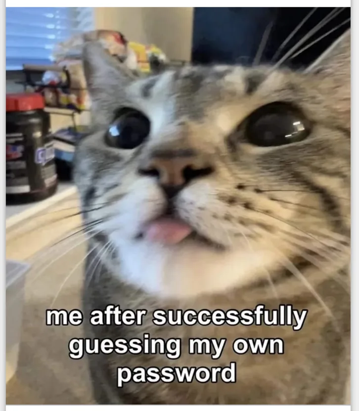 A close-up photo of a tabby cat with wide, startled eyes and its tongue slightly sticking out, looking directly at the…