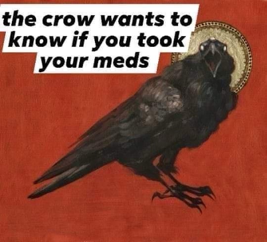 A black crow with a halo is depicted against a solid red background, with bold white text overlaid that reads 'the crow…