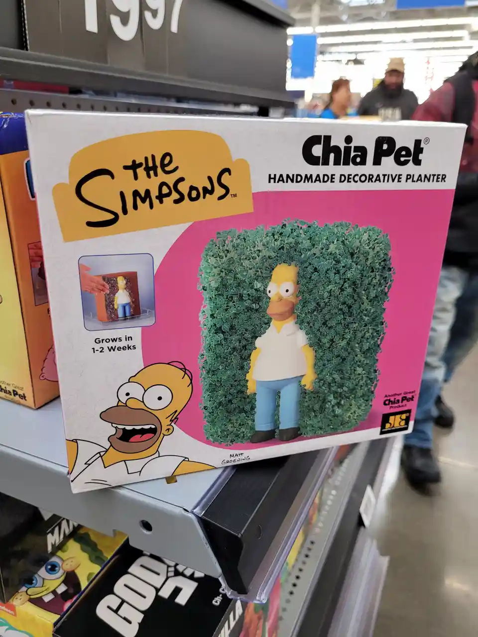 A box of a 'The Simpsons' Chia Pet planter featuring Homer Simpson, shown with green chia sprouts growing around his head…