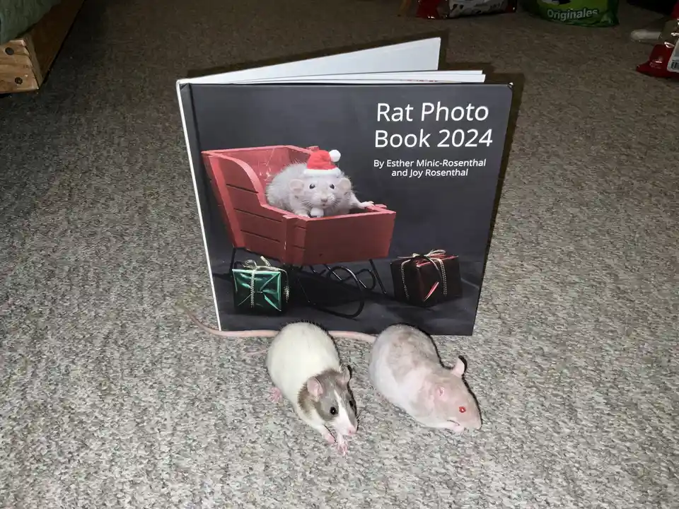 A physical photo book titled 'Rat Photo Book 2024' by Esther Minic-Rosenthal and Joy Rosenthal stands upright on a carpeted…