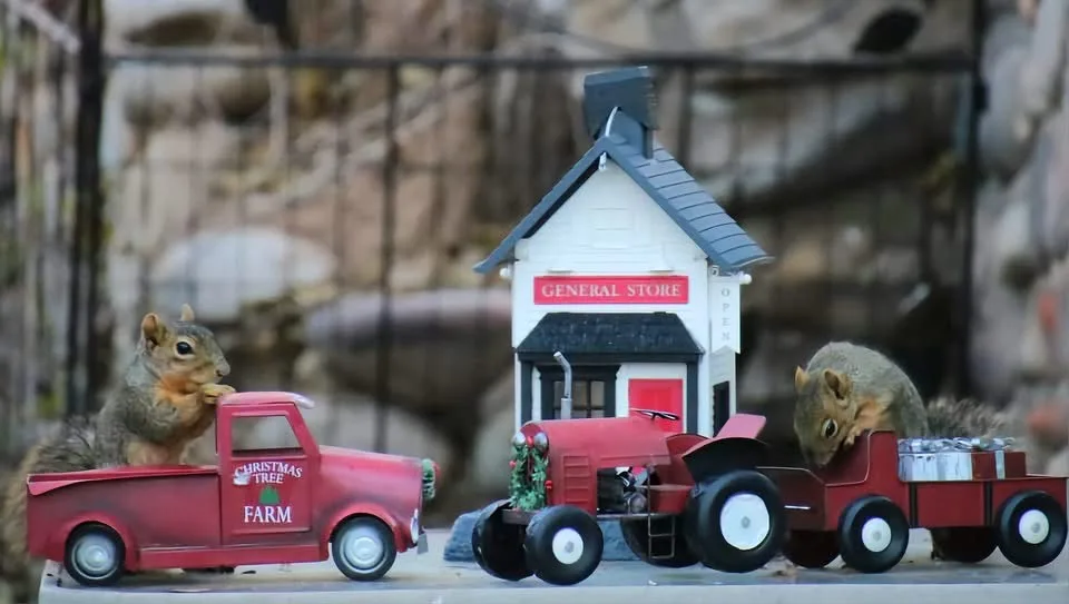 Two real squirrels are positioned in miniature red toy vehicles: one in a pickup truck labeled 'CHRISTMAS TREE FARM' and the…