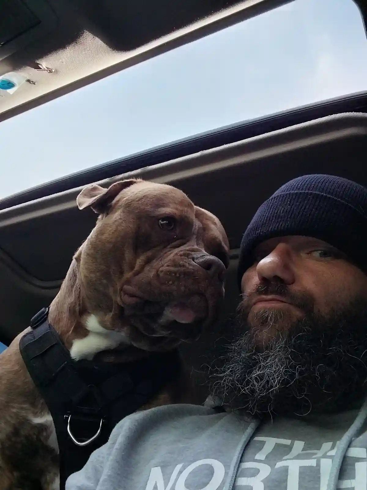A man with a full beard and dark beanie sits in a car next to a large brown dog wearing a black harness. Both are looking…