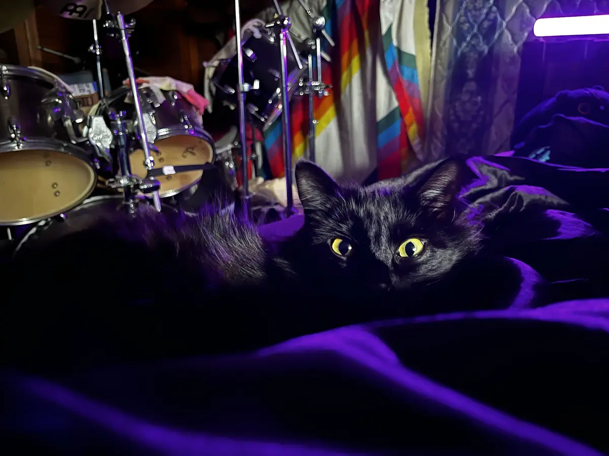 A black cat with glowing yellow eyes lies on a purple-lit bed, looking directly at the camera. Behind it, a drum set is…