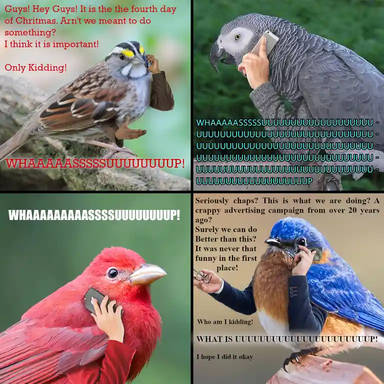 A four-panel meme featuring different birds with human arms holding phones, each panel showing a bird reacting to a poorly…