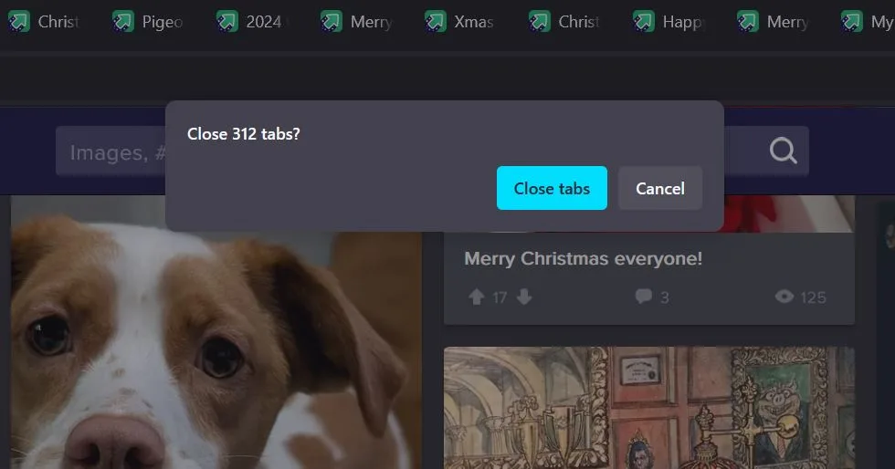 Wrapping Up the Holidays with This Final Post
