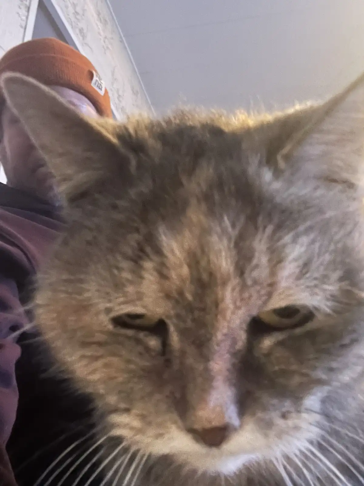 Meet Our Granny: 20 Years Young and Missing Some Pearly Whites