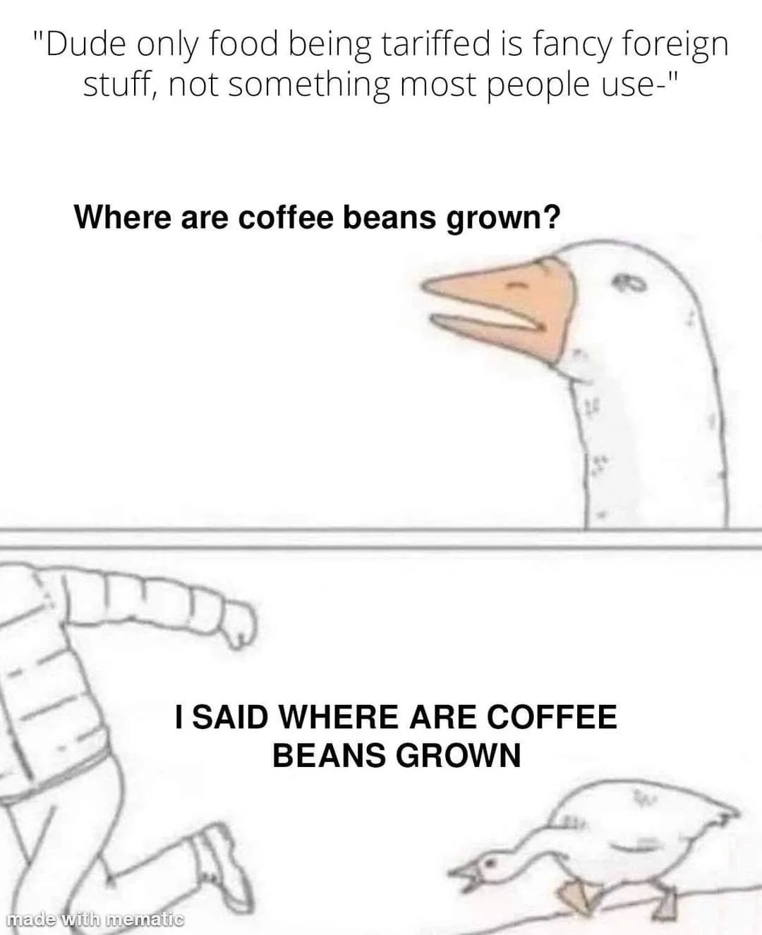 The image is a two-panel meme featuring a cartoon goose. In the top panel, the goose asks, "Where are coffee beans grown?"…