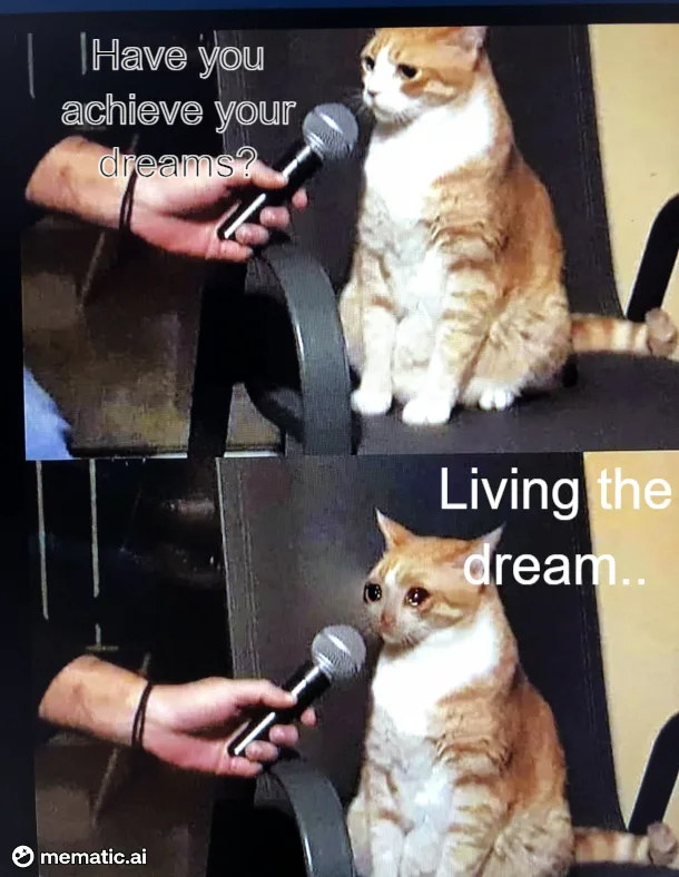 A two-panel meme featuring an orange and white cat being interviewed with a microphone. In the top panel, the cat looks away…