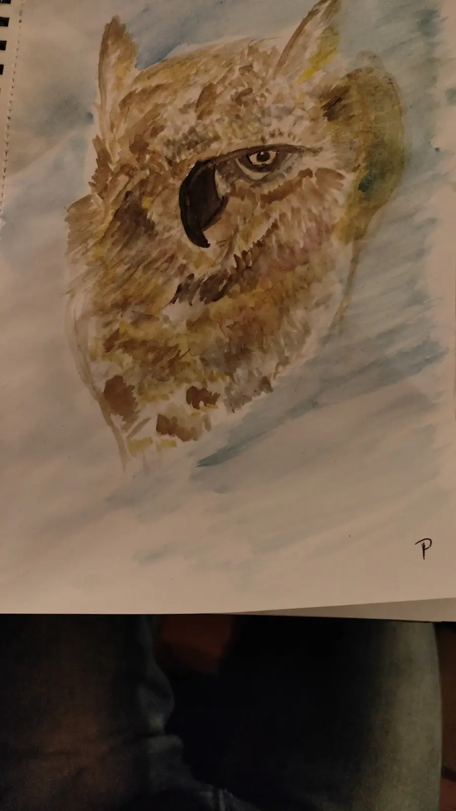 A watercolor painting of an owl's head, rendered in browns, yellows, and grays, stares intensely at the viewer. The owl's…