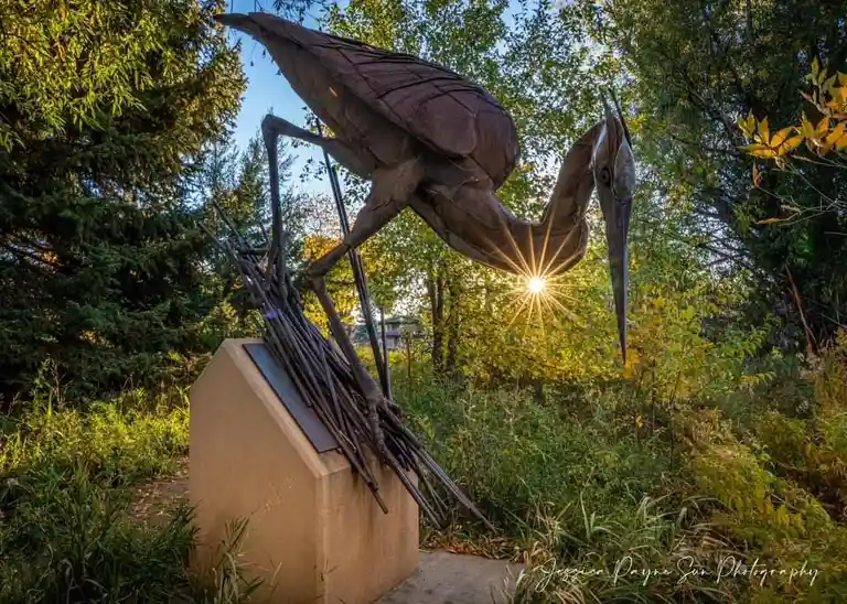 Majestic Crane in All Its Glory