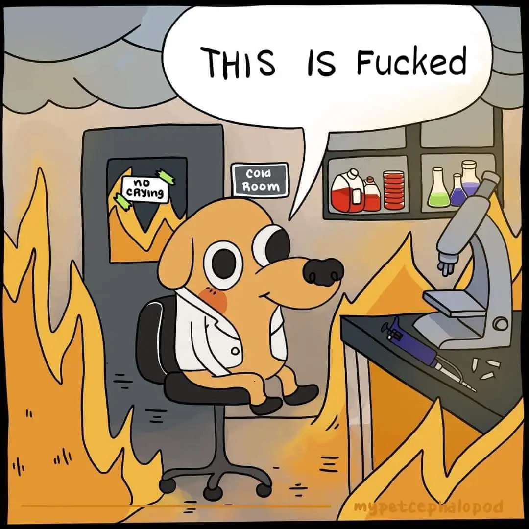 A cartoon dog in a lab coat sits calmly in a chair as flames engulf the room around it. The dog has a speech bubble saying…