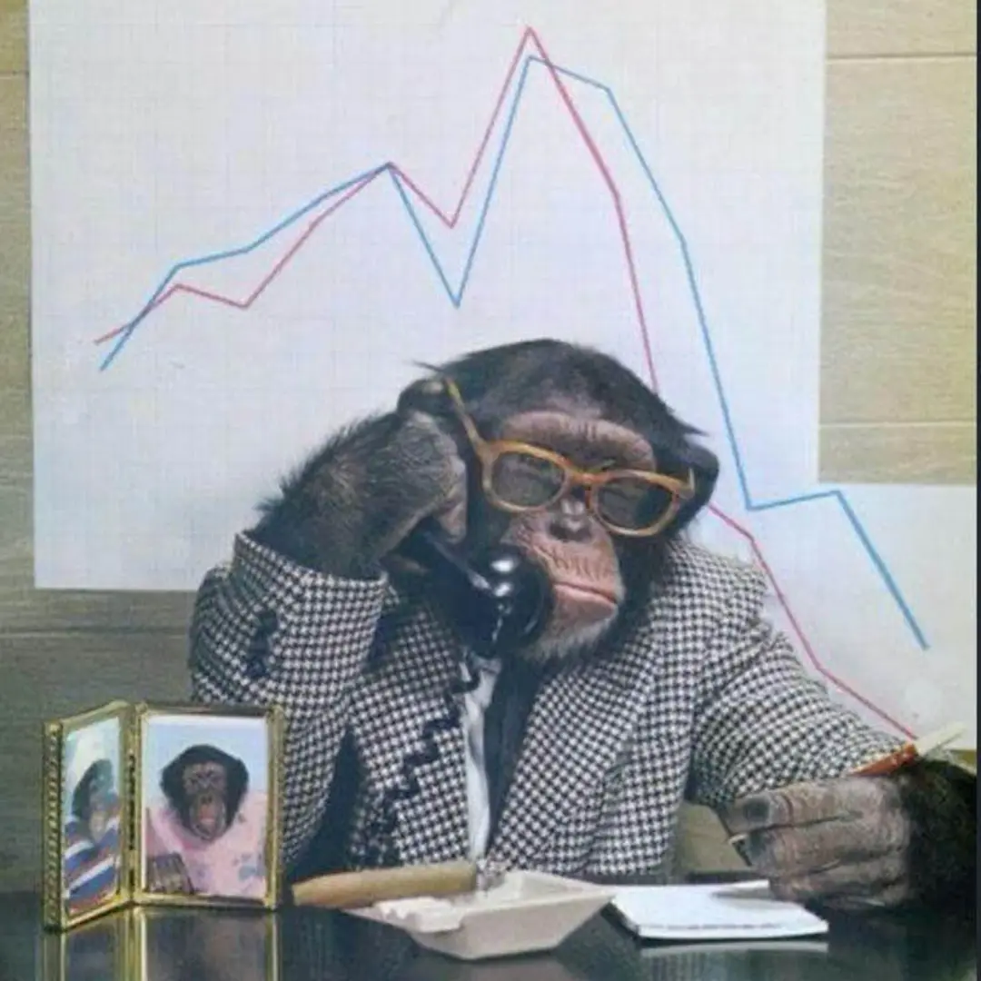 A chimpanzee wearing a houndstooth suit and glasses sits at a desk holding a phone to its ear, looking stressed. Behind it…