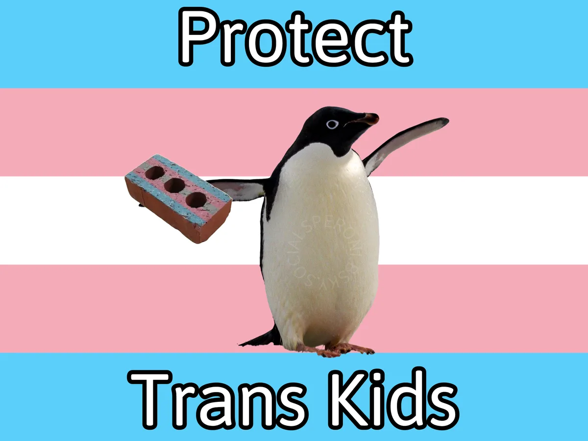 An adélie penguin stands against a trans flag background, holding a brick painted with the flag's colors. The word 'Protect'…