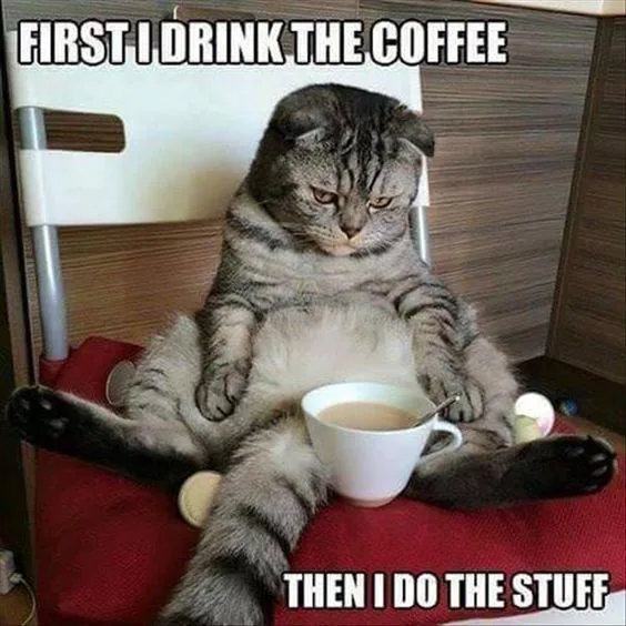 A large, fluffy tabby cat sits lounging on a red chair with a white coffee cup between its paws, looking smug and relaxed…