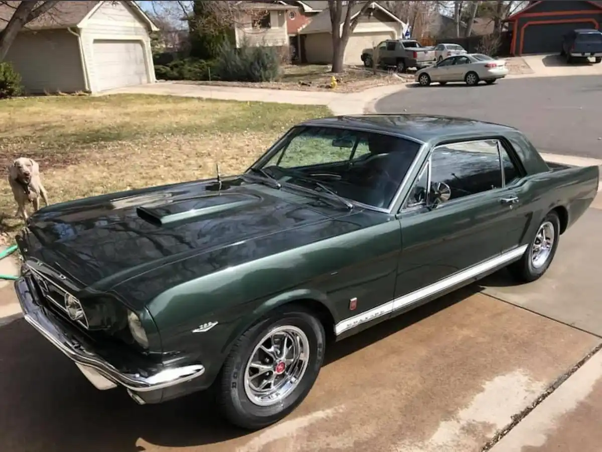 A dark green classic 1960s Ford Mustang is parked on a residential driveway, with a light-colored dog standing nearby on the…