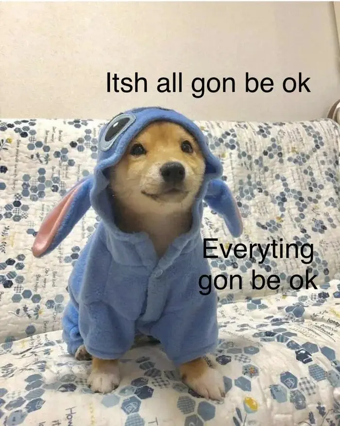 A small, light brown puppy wearing a blue Stitch costume with large ears and a single eye on the hood sits on a patterned…