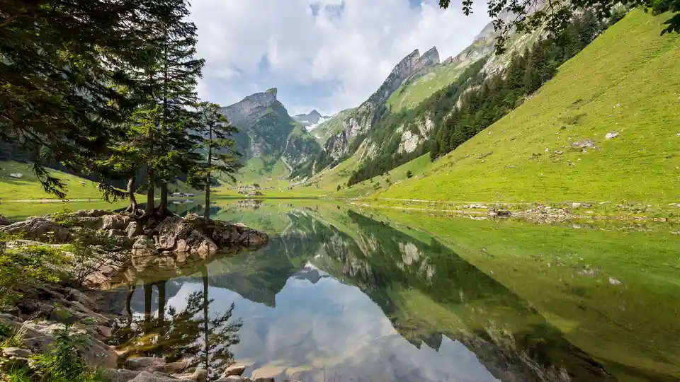 The Sweet Taste of Swiss Bliss