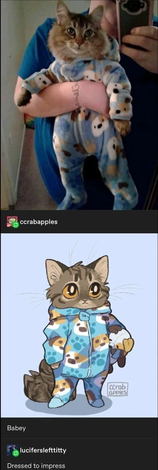 A real-life photo shows a person holding a fluffy tabby cat wearing blue pajamas with dog face patterns. Below it, a cartoon…