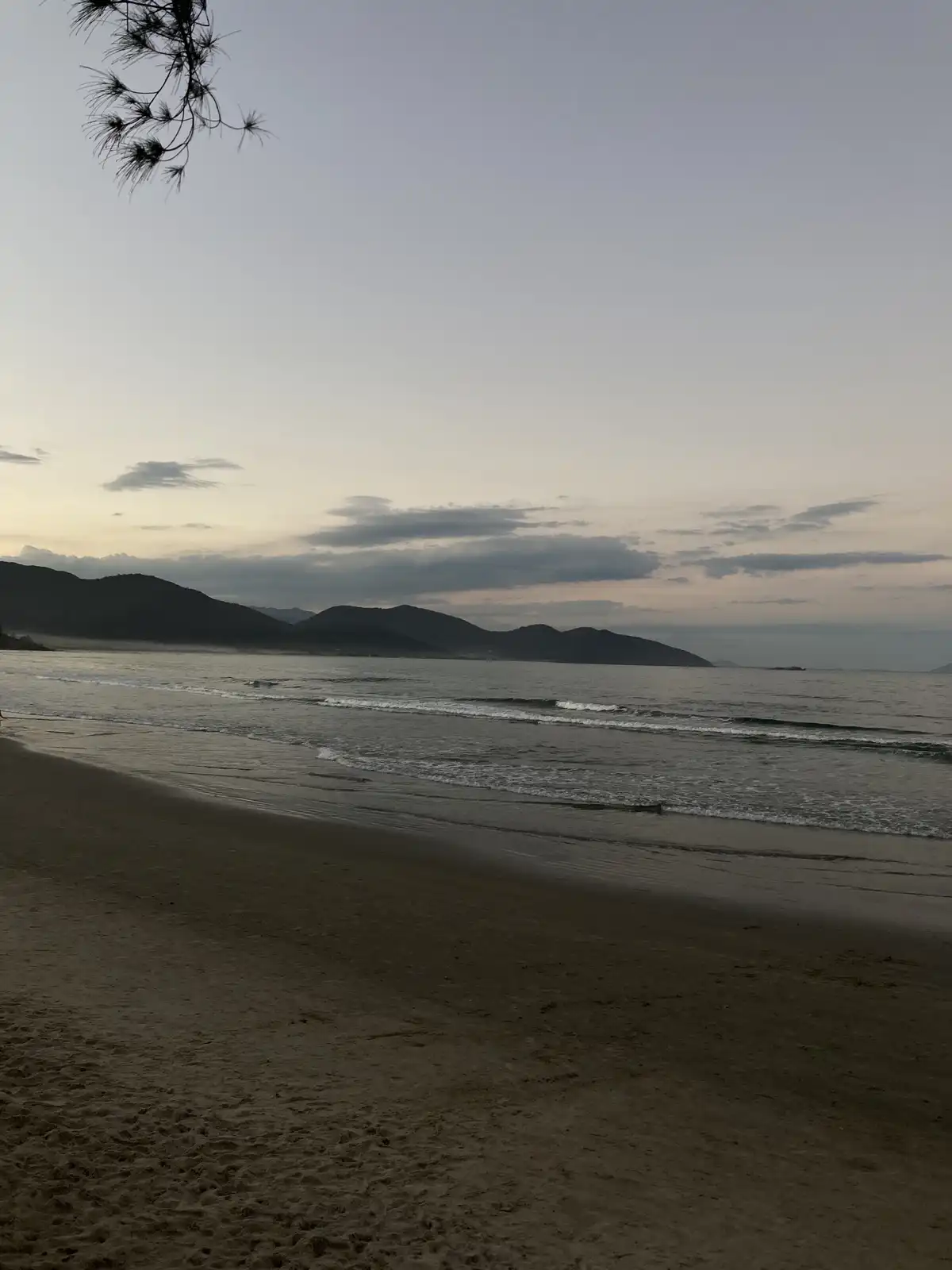 A serene beach scene at dusk with gentle waves, distant mountains, and a pine tree branch in the top-left corner. The…