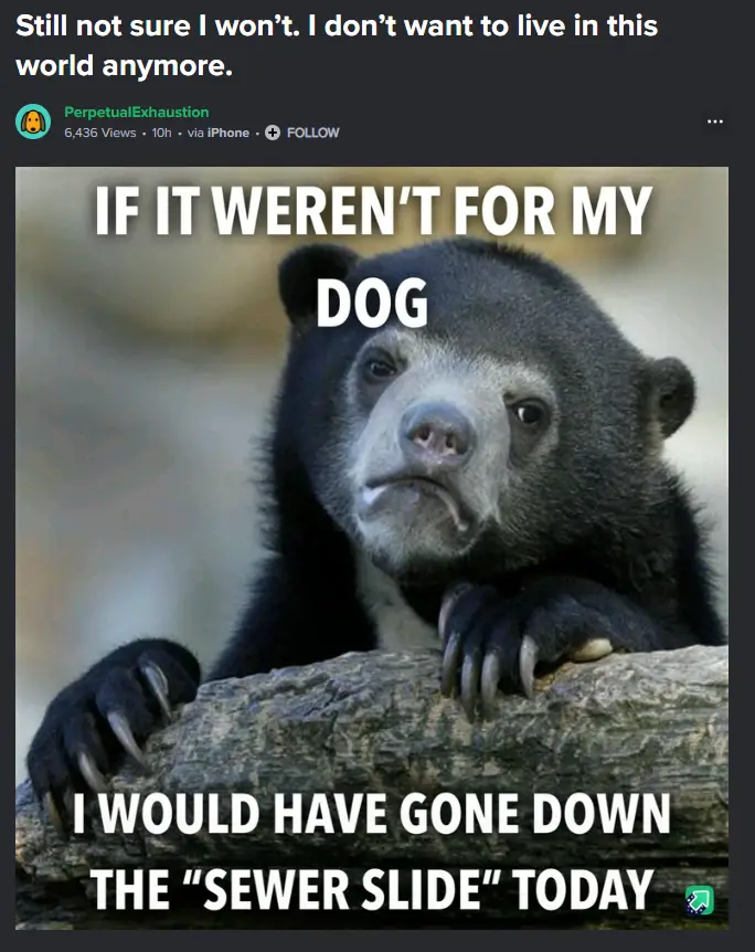 A black bear with a sad, defeated expression rests its paws on a log. White text overlaid on the image reads: 'IF IT WEREN'T…