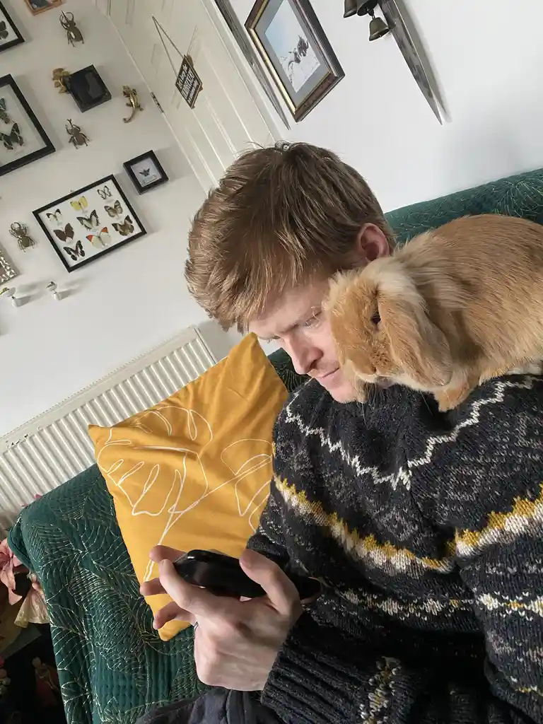 A man with light brown hair sits on a green couch wearing a patterned sweater, looking down at his phone while holding a…